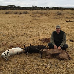 Hunting White, Black & Copper Springbok in South Africa