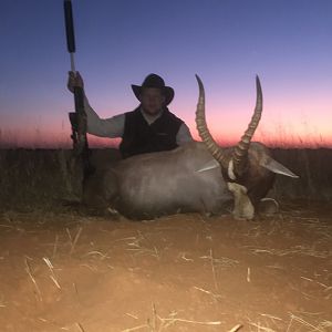 Blesbok Hunt South Africa