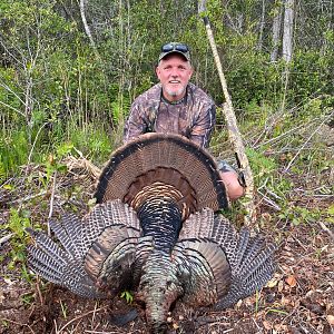 Turkey Hunt Florida USA