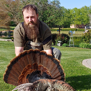 USA Hunting Turkey