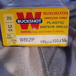 Winchester 9 pellet Buckshot