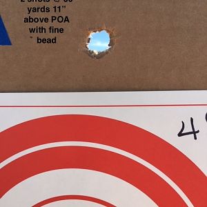 577 Snider target 50 yds 2 shots