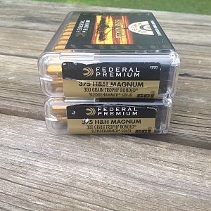 Federal .375 H&H 300 Gr Sledgehammer Solids