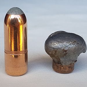 Woodleigh 500gr RNSP Bullet Performance