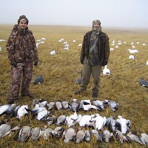 Geese Hunt Canada
