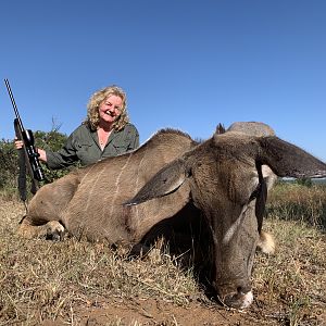 Hunting Kudu Female in South Africa