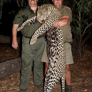 Hunt Leopard in Tanzania