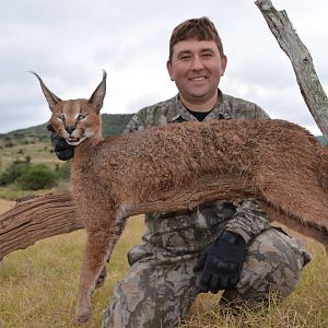 South Africa Hunt Caracal