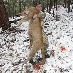 Hunting Mountain Lion in Arizona USA