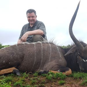 Nyala Hunt South Africa