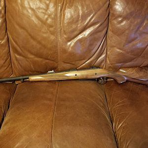 505 Gibbs Rifle