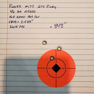 145 gr speer grand slam loads with H4350 Range Shots