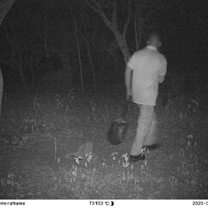 Trail Cam Pictures South Africa