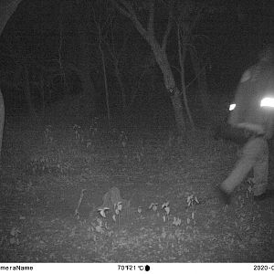 South Africa Trail Cam Pictures