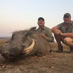 Zimbabwe Hunt Warthog