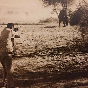 Elephant Hunt with John Wayne Hatari