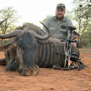 Blue WIldebeest