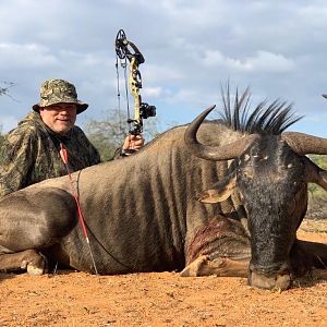 Blue Wildebeest with one of our loyal clients