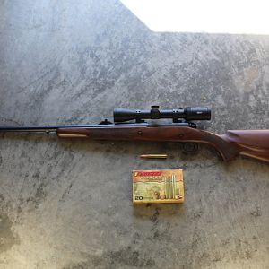 Winchester Model 70 Safari 375 H&H Magnum Rifle