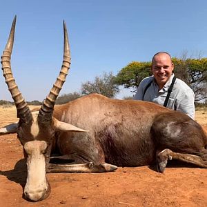 Blesbok Hunting South Africa