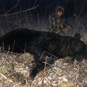 Hunt Black Bear in USA