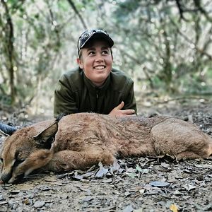 South Africa Hunt Caracal