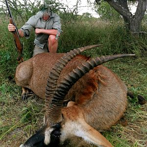Roan Antelope Hunting South Africa