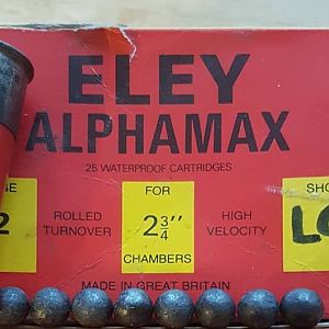 Eley Alphamax LG 12 Bore paper cartridge