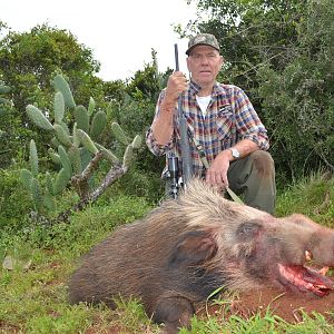 South Africa Hunting Bushpig