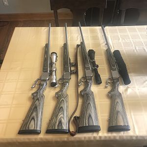 Ruger Rifles