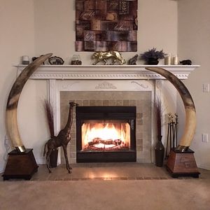 Reproduction Elephant Tusks Taxidermy