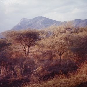 Tsavo Kenya