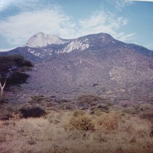 Tsavo Kenya