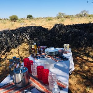 Lunch in bush