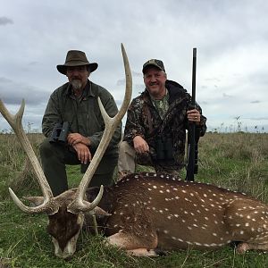 Argentina Hunting Axis Deer