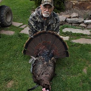 Hunting Turkey in USA