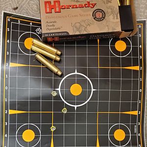 Hornady Dangerous Game .375 Range Shots