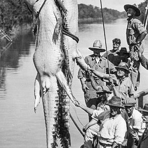 Crocodile Hunt Northern Australia 1931
