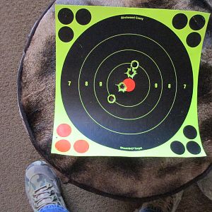 9.3x74r Rifle Range Shots with Trijicon srs1