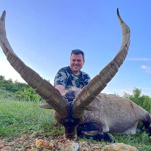 Hunt Ibex in Spain