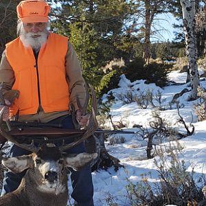 Mule Deer Hunting USA