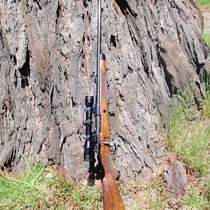 Argentine 1935 Mauser-Werke action Rifle