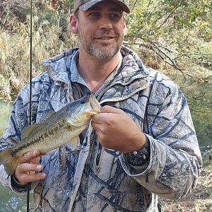 South Africa Fishing Bass