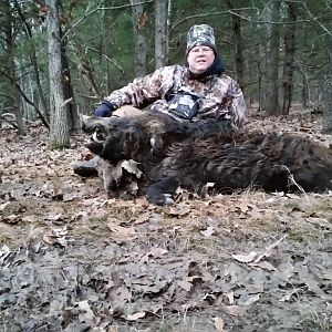 Wild Boar Hunt USA