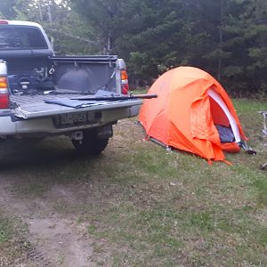 British Columbia Canada Hunting Bear