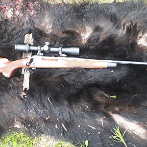 Winchester Model 70 Rifle in 30-06