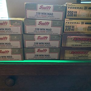 Factory Swift 250 gr Aframes, Barnes 225 gr TTXS & Federal 225 gr Accubonds