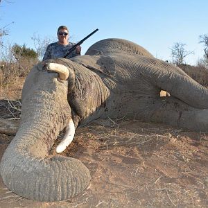 Hunting Elephant in South Africa