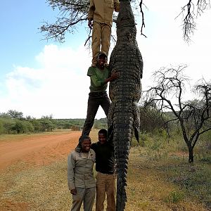 South Africa Hunt Crocodile