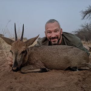 Hunt Duiker in South Africa